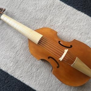 Basse de viole de gambe 7 cordes